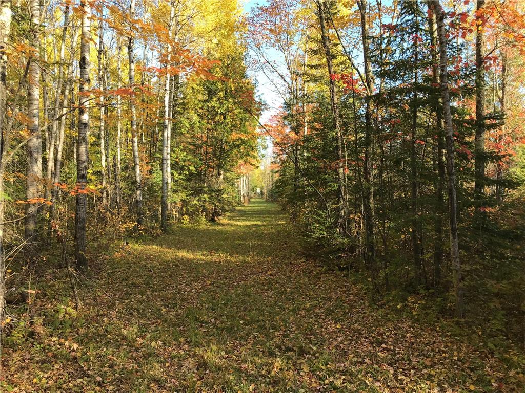 TBD Town Road 118 Birchdale MN 56629 7064357 image5