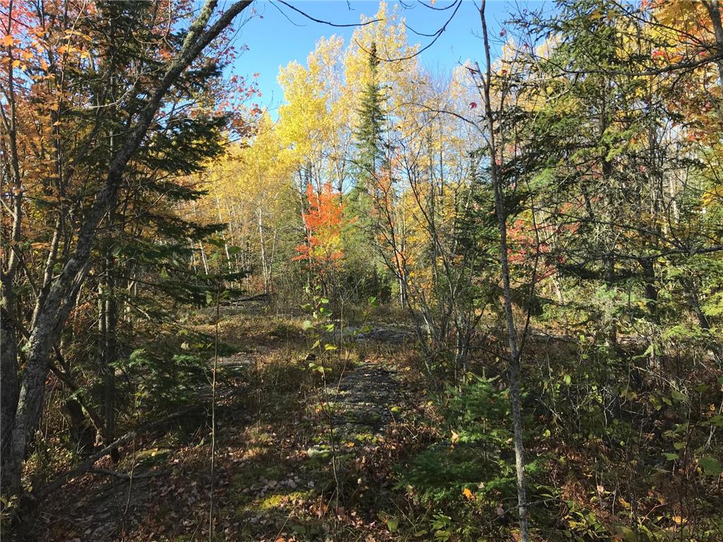TBD Town Road 118 Birchdale MN 56629 7064357 image6