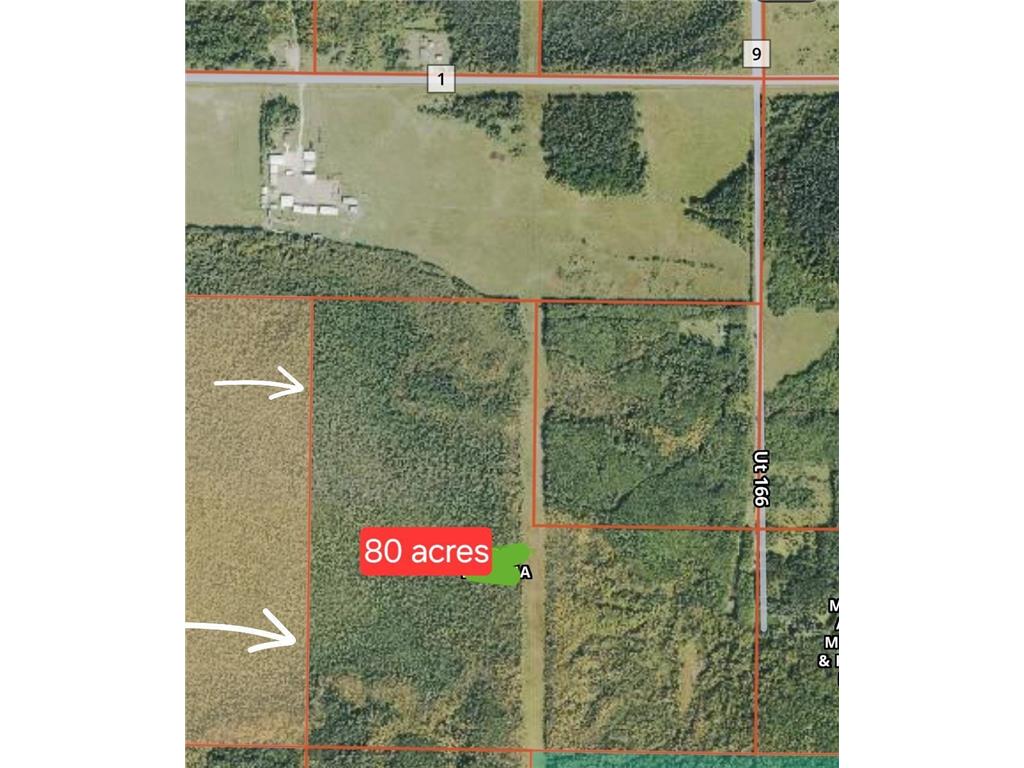 TBD Town Road 166 Littlefork MN 56653 6734834 image11