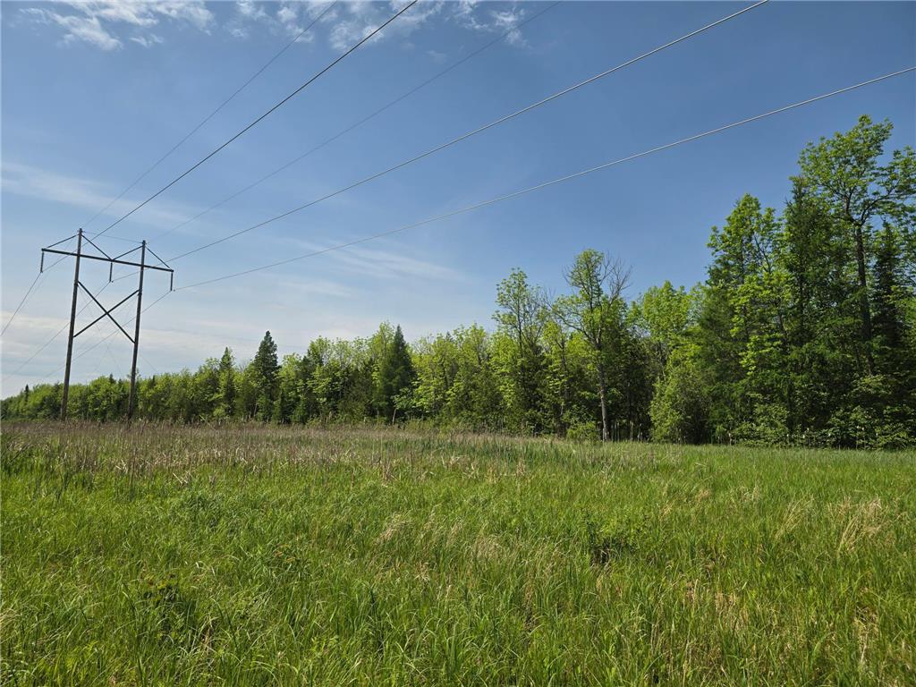 TBD Town Road 166 Littlefork MN 56653 6734834 image2