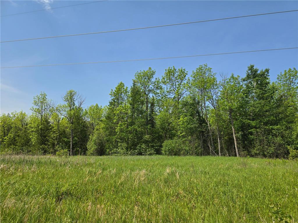 TBD Town Road 166 Littlefork MN 56653 6734834 image3