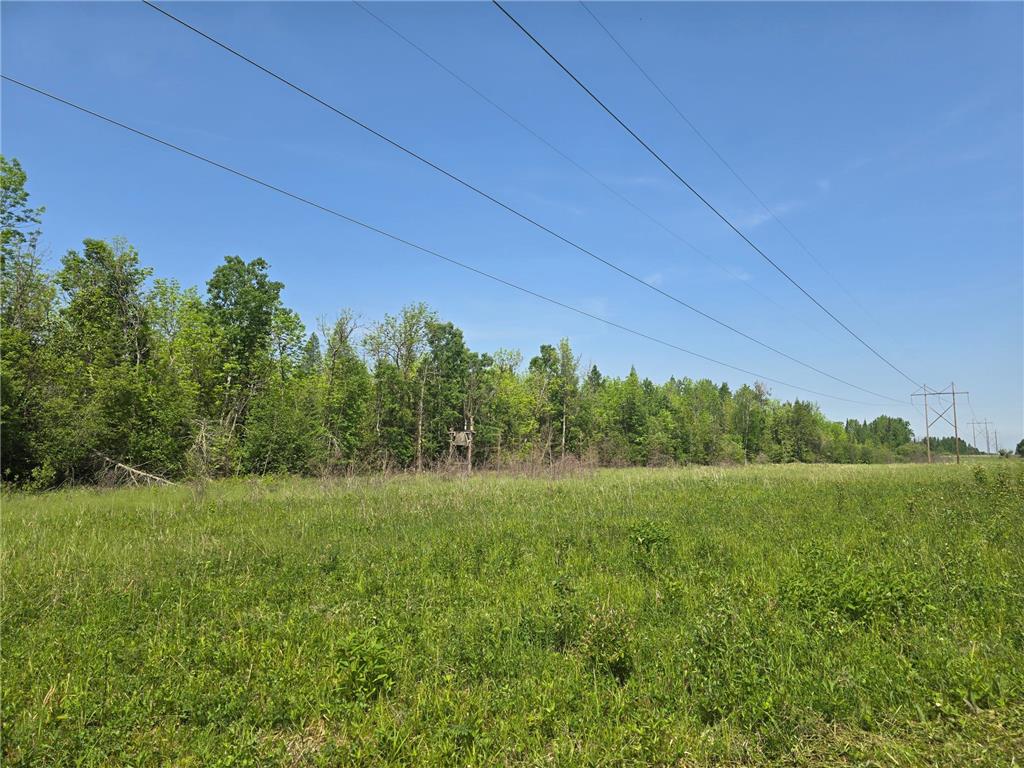 TBD Town Road 166 Littlefork MN 56653 6734834 image4