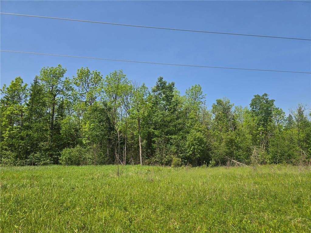 TBD Town Road 166 Littlefork MN 56653 6734834 image5