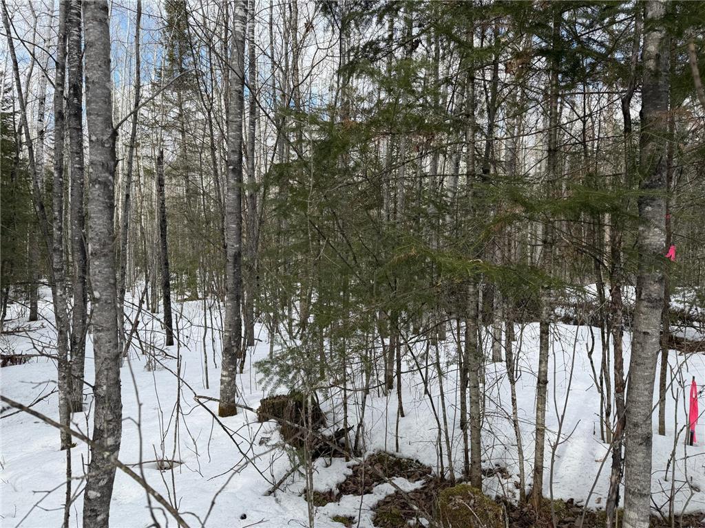 TBD Town Road 211 International Falls MN 56649 - Rainy River 7044008 image16