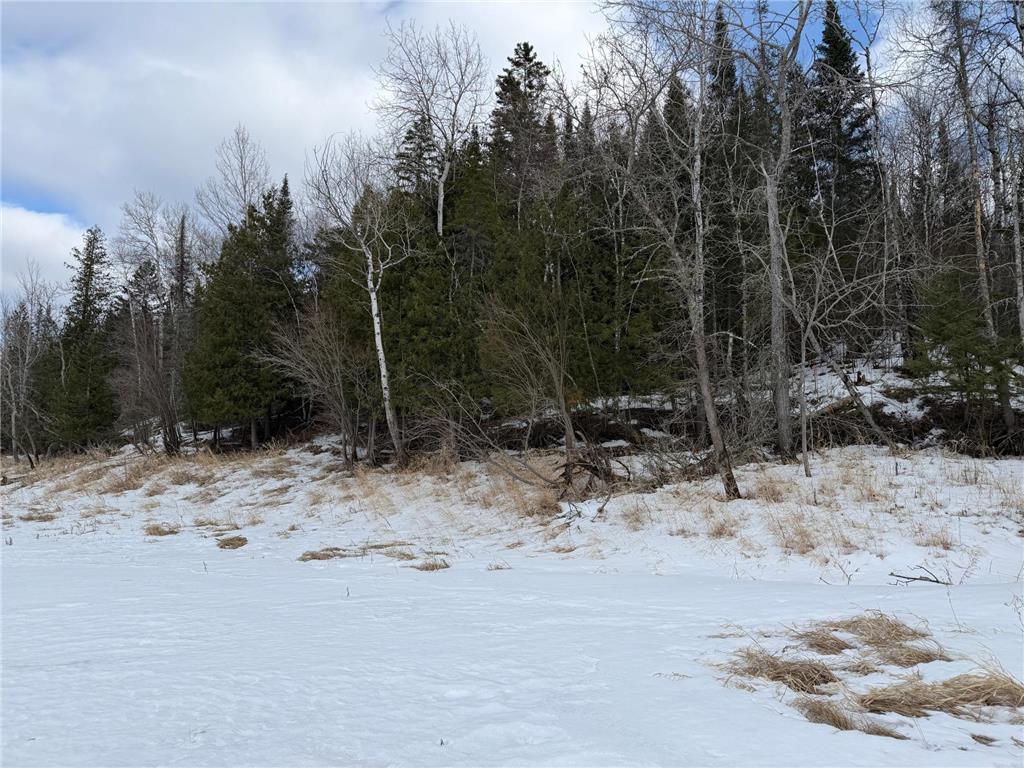 TBD Town Road 211 International Falls MN 56649 - Rainy River 7044008 image19
