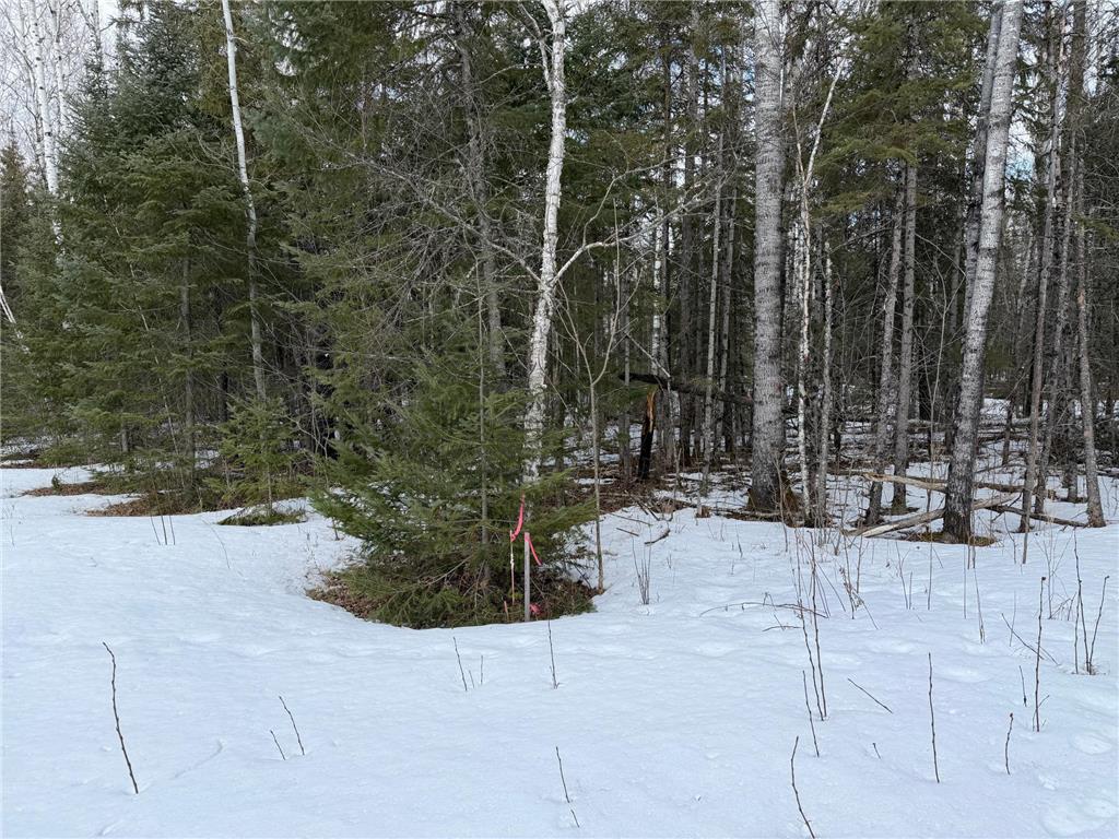 TBD Town Road 211 International Falls MN 56649 - Rainy River 7044008 image2