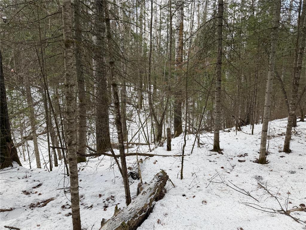TBD Town Road 211 International Falls MN 56649 - Rainy River 7044008 image7