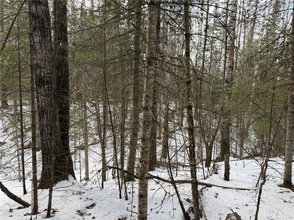 TBD Town Road 211 International Falls MN 56649 - Rainy River 7044008 image8