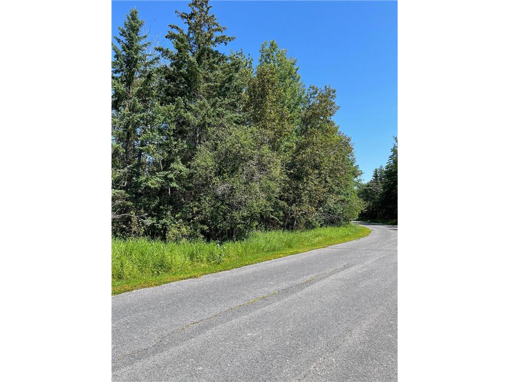 TBD Town Road 224 International Falls MN 56649 6579454 image1