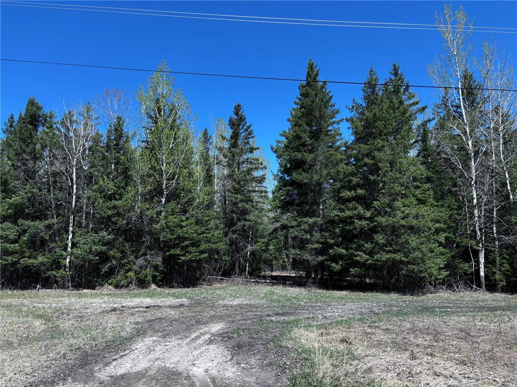 TBD Town Road 286 International Falls MN 56649 6652599 image1