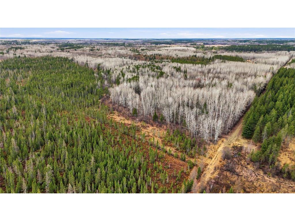 TBD Town Road #55 Big Falls MN 56627 7032979 image1