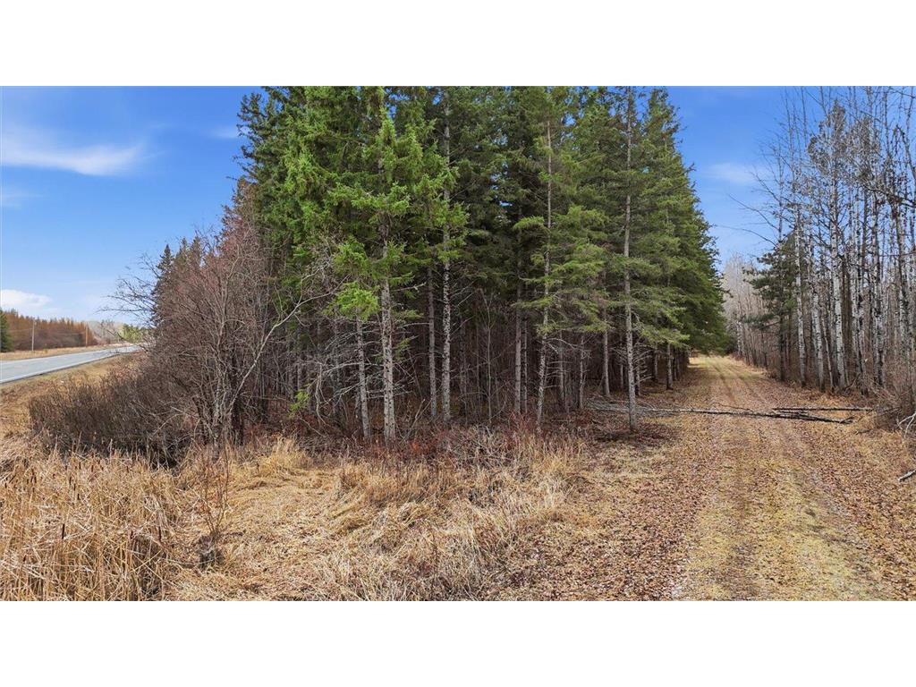 TBD Town Road #55 Big Falls MN 56627 7032979 image11