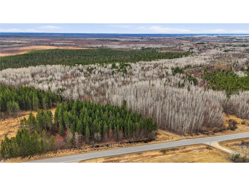 TBD Town Road #55 Big Falls MN 56627 7032979 image13