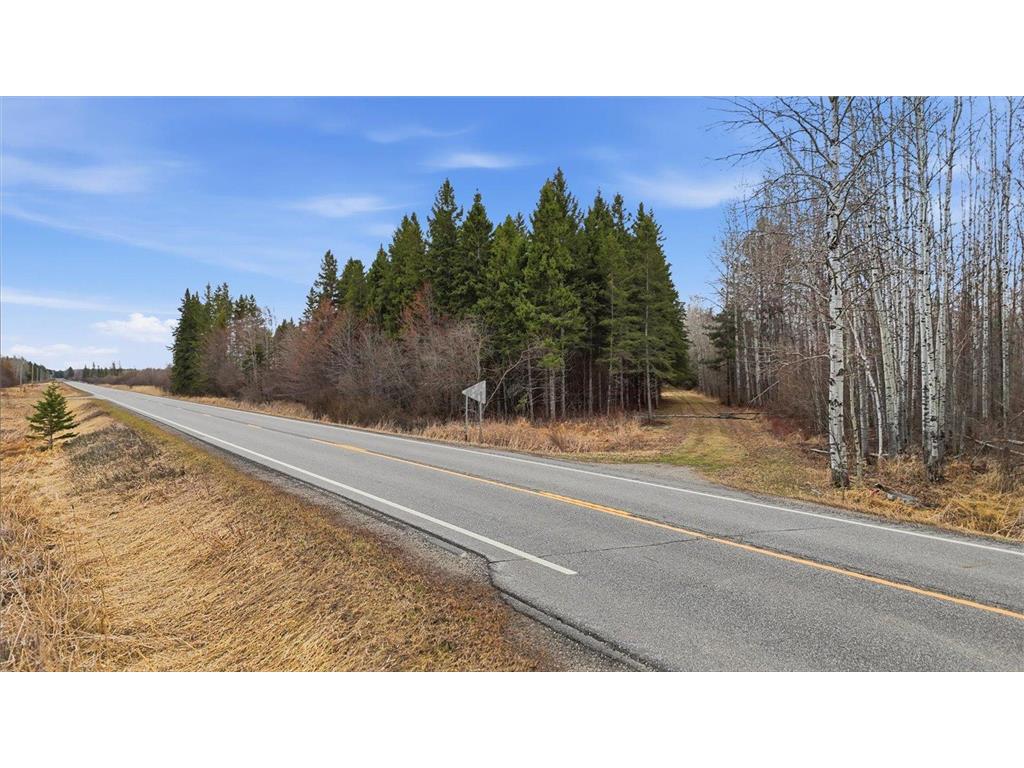 TBD Town Road #55 Big Falls MN 56627 7032979 image4