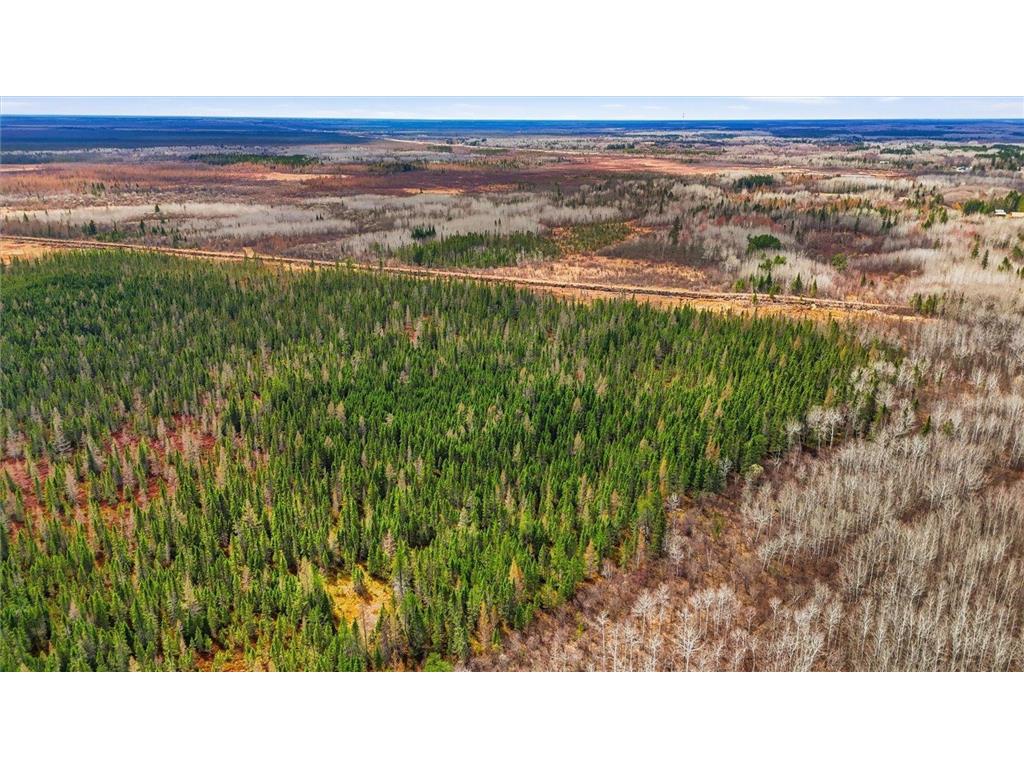 TBD Town Road #55 Big Falls MN 56627 7032979 image5