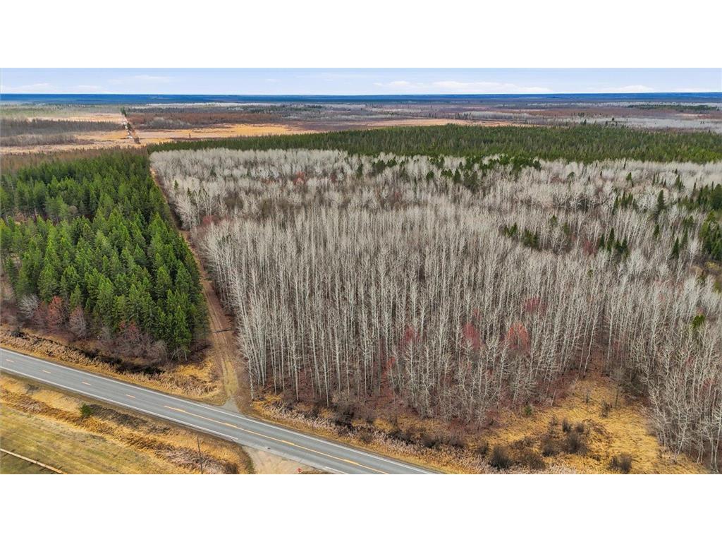 TBD Town Road #55 Big Falls MN 56627 7032979 image6