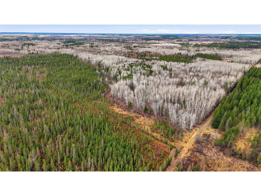 TBD Town Road #55 Big Falls MN 56627 7032979 image7