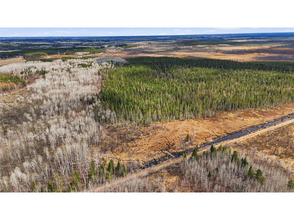 TBD Town Road #55 Big Falls MN 56627 7032979 image8