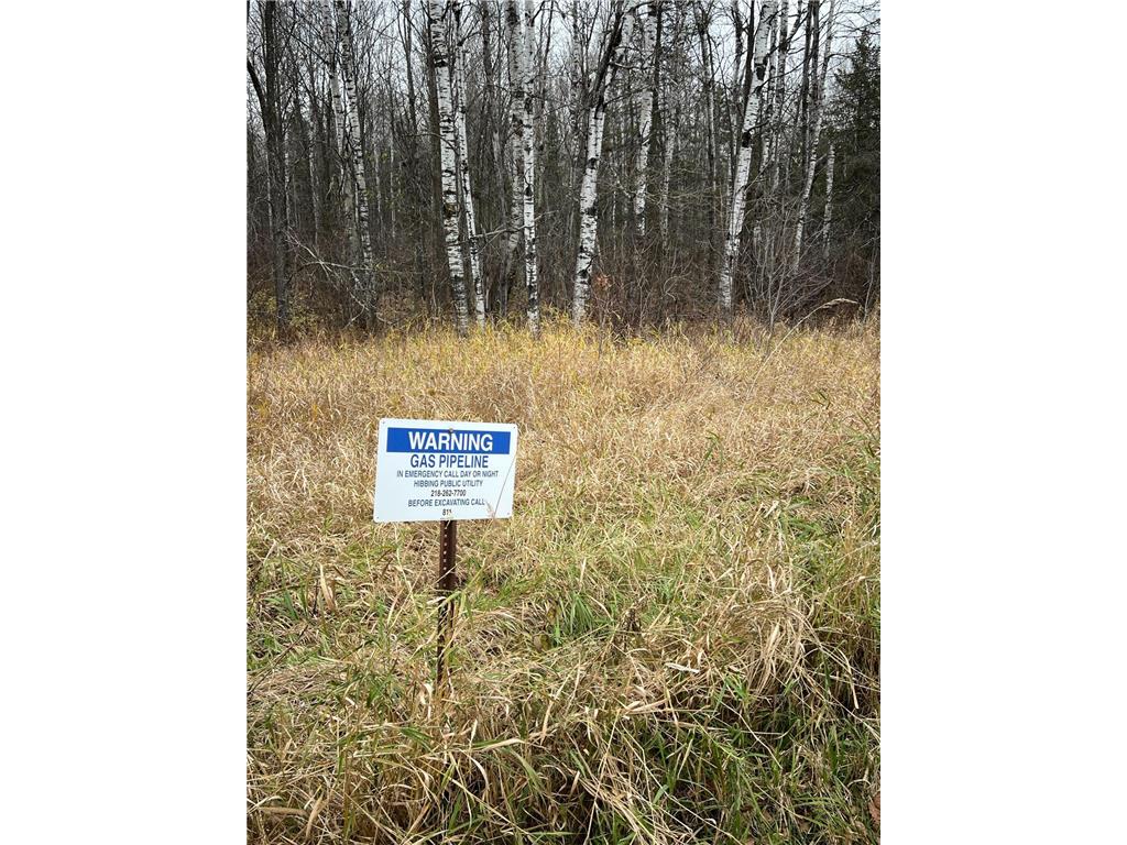 TBD Townline Rd Hibbing MN 55746 6815834 image4