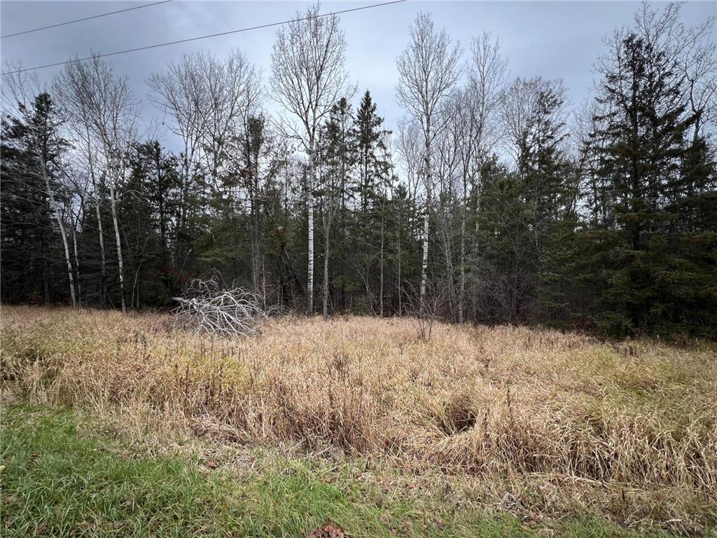 TBD Townline Rd Hibbing MN 55746 6815834 image6