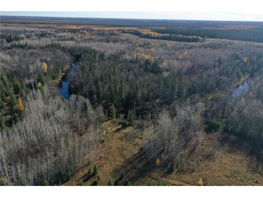TBD Township Rd. 98 Loman MN 56654 - BLACK RIVER 6809479 image1