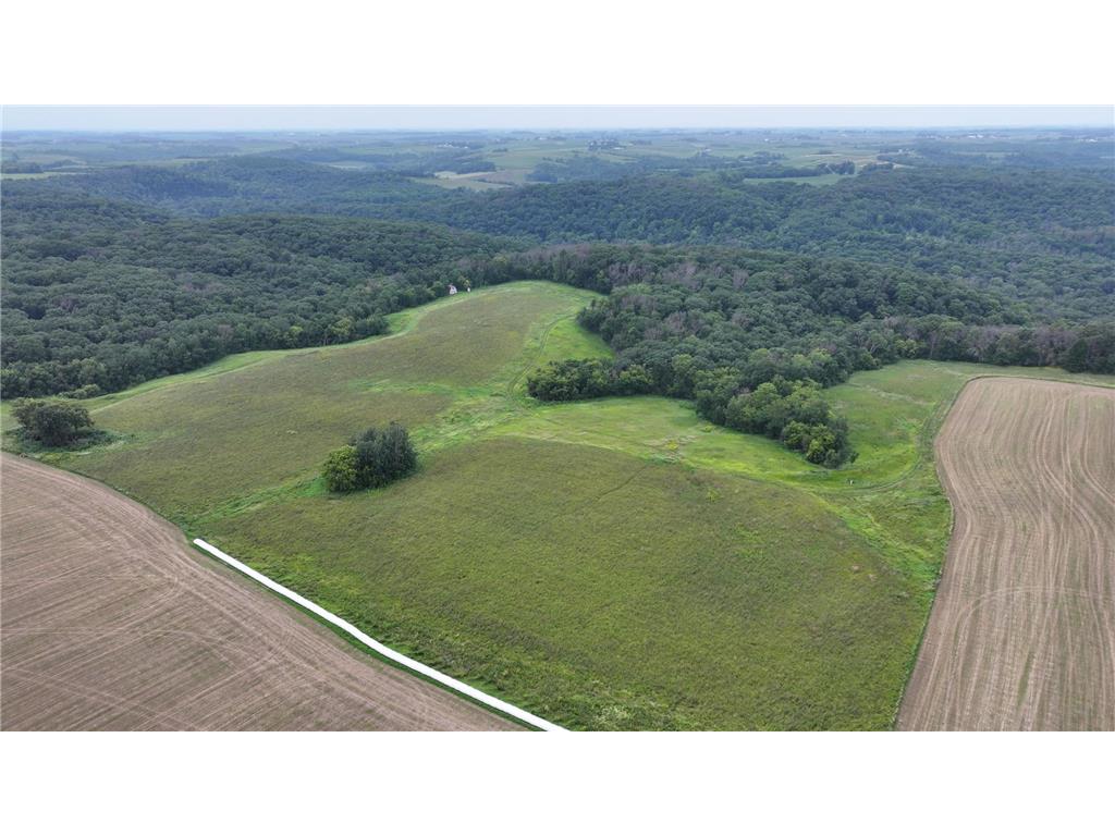 TBD Township Road 301 Forestville Twp MN 55965 6777449 image1