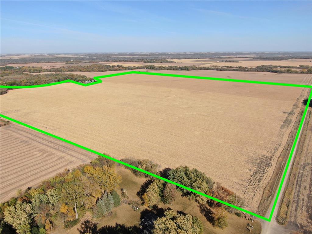 TBD Tract 1 224th Street Butternut Valley Twp MN 56055 6619860 image1