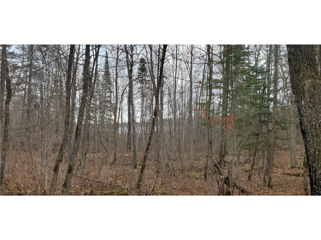 TBD - Tract 2 Ticonderoga Trail Hackensack MN 56425 - Kid 7017398 image5