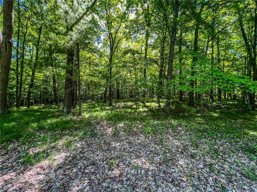 TBD Tract A Damsgaard Road Bay Lake Twp MN 56444 6483929 image1