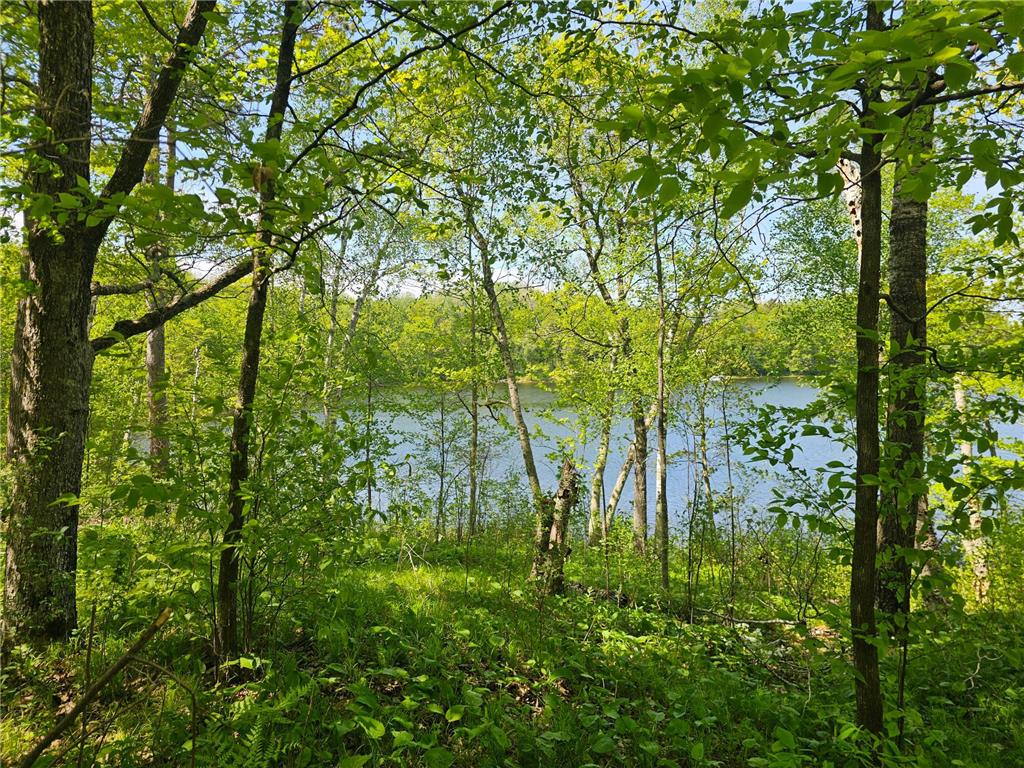 TBD Tract A Swanson Road Deerwood MN 56444 - Ann 7059563 image4