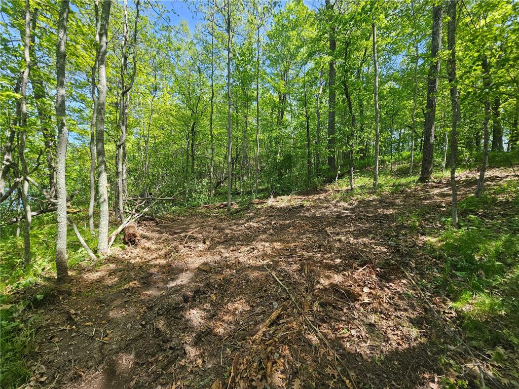 TBD Tract A Swanson Road Deerwood MN 56444 - Ann 7059563 image5