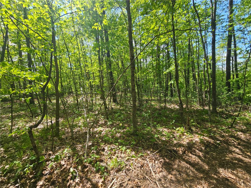 TBD Tract A Swanson Road Deerwood MN 56444 - Ann 7059563 image6