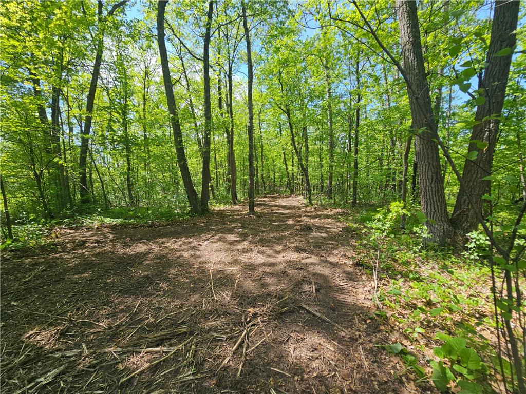 TBD Tract A Swanson Road Deerwood MN 56444 - Ann 7059563 image7
