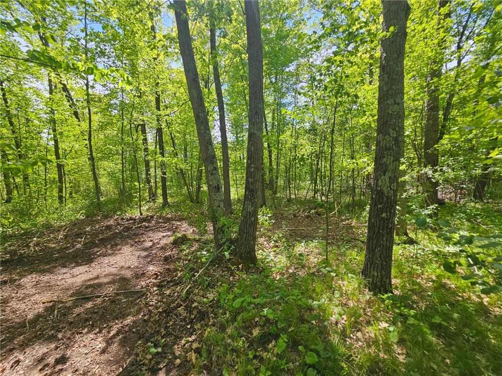 TBD Tract A Swanson Road Deerwood MN 56444 - Ann 7059563 image8