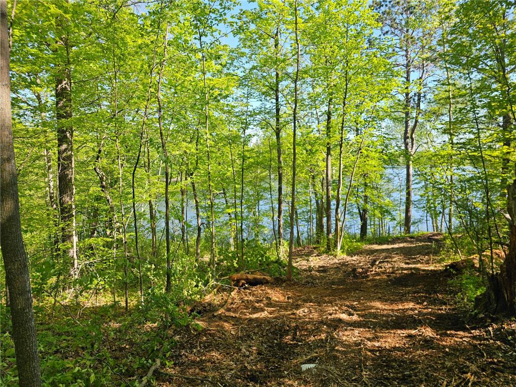 TBD Tract B Swanson Road Deerwood MN 56444 - Ann 7059587 image5