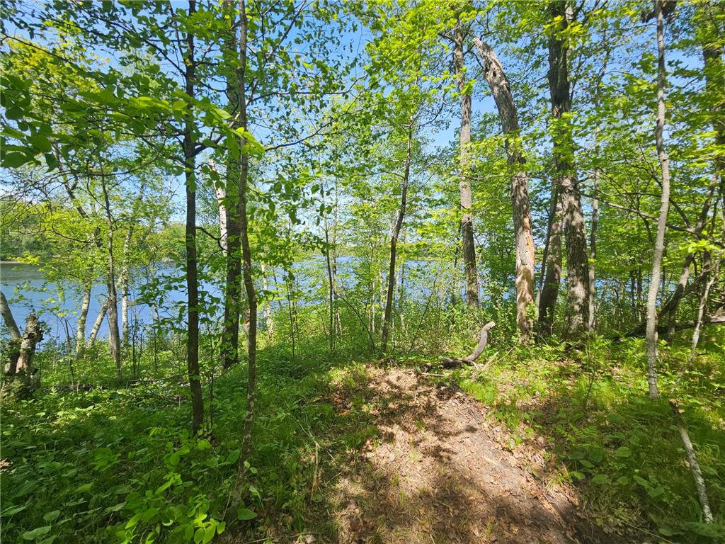 TBD Tract B Swanson Road Deerwood MN 56444 - Ann 7059587 image6