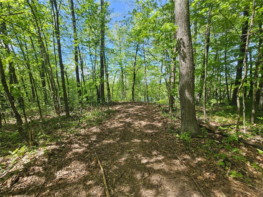 TBD Tract B Swanson Road Deerwood MN 56444 - Ann 7059587 image7
