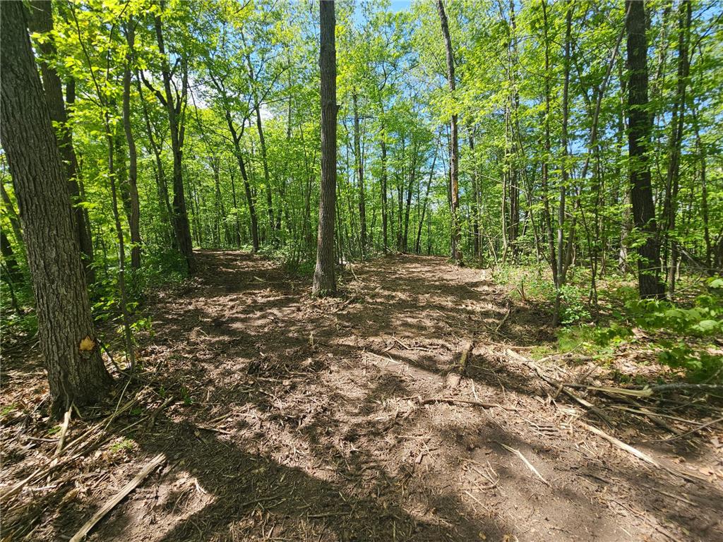 TBD Tract B Swanson Road Deerwood MN 56444 - Ann 7059587 image8