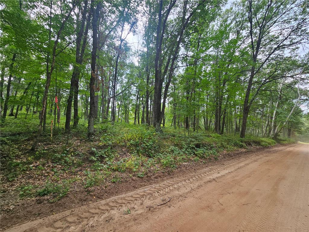 TBD Tract C Richfield Road SW Pillager MN 56473 7044614 image1