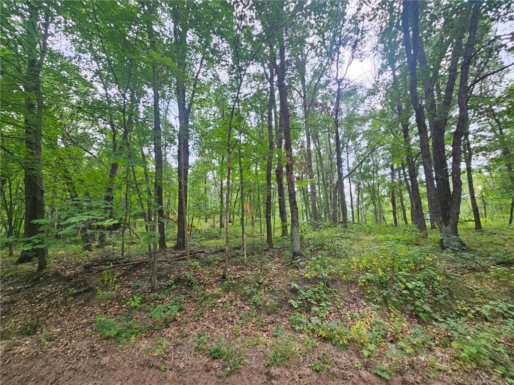 TBD Tract C Richfield Road SW Pillager MN 56473 7044614 image3