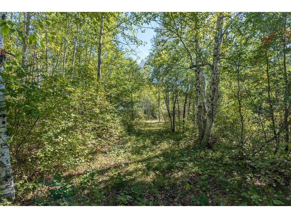 TBD Tract D Little Pine Road Brainerd MN 56401 6725137 image1