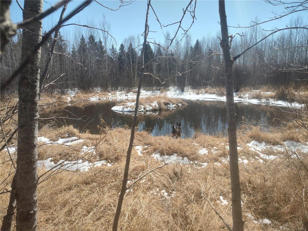 TBD Tranquility Drive Helga Twp MN 56461 6707373 image1