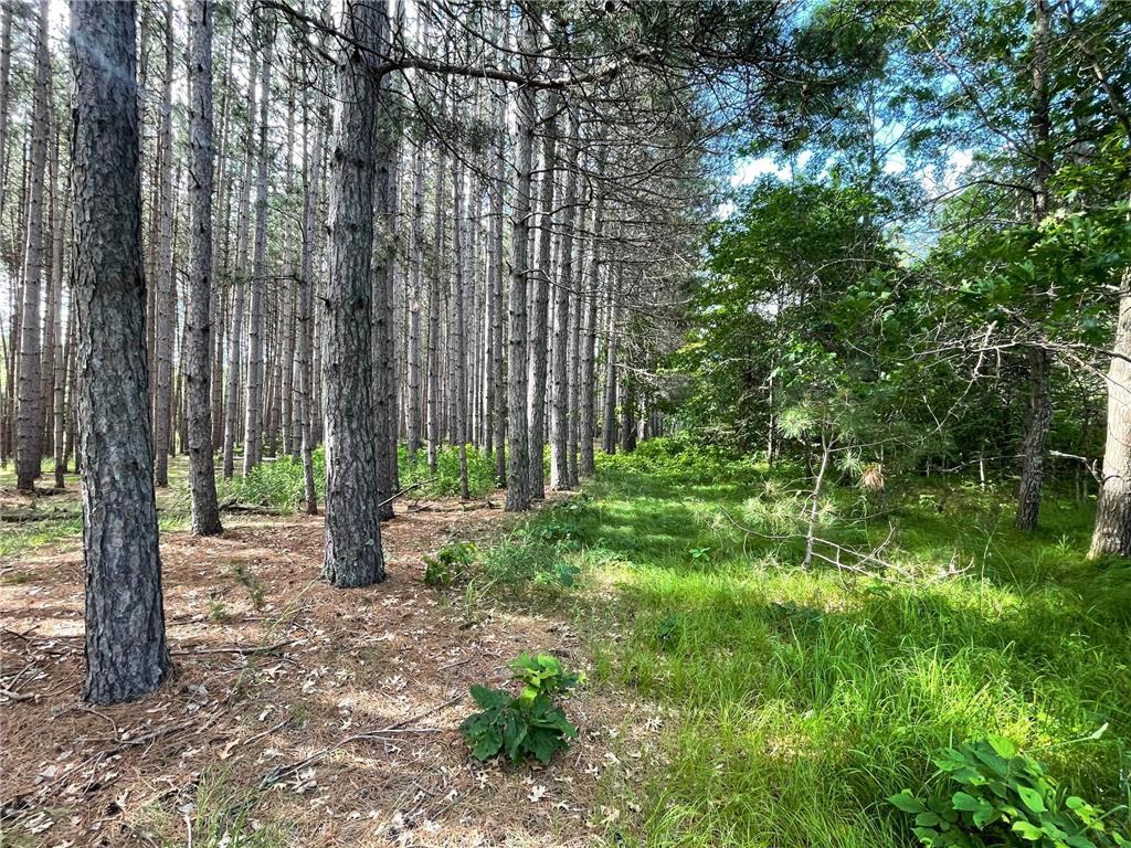 TBD Trefoil Drive Pine River Twp MN 56435 6560590 image1