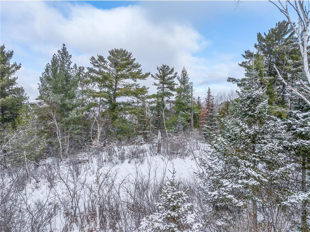 TBD Trezona Drive Ely MN 55731 7005472 image10
