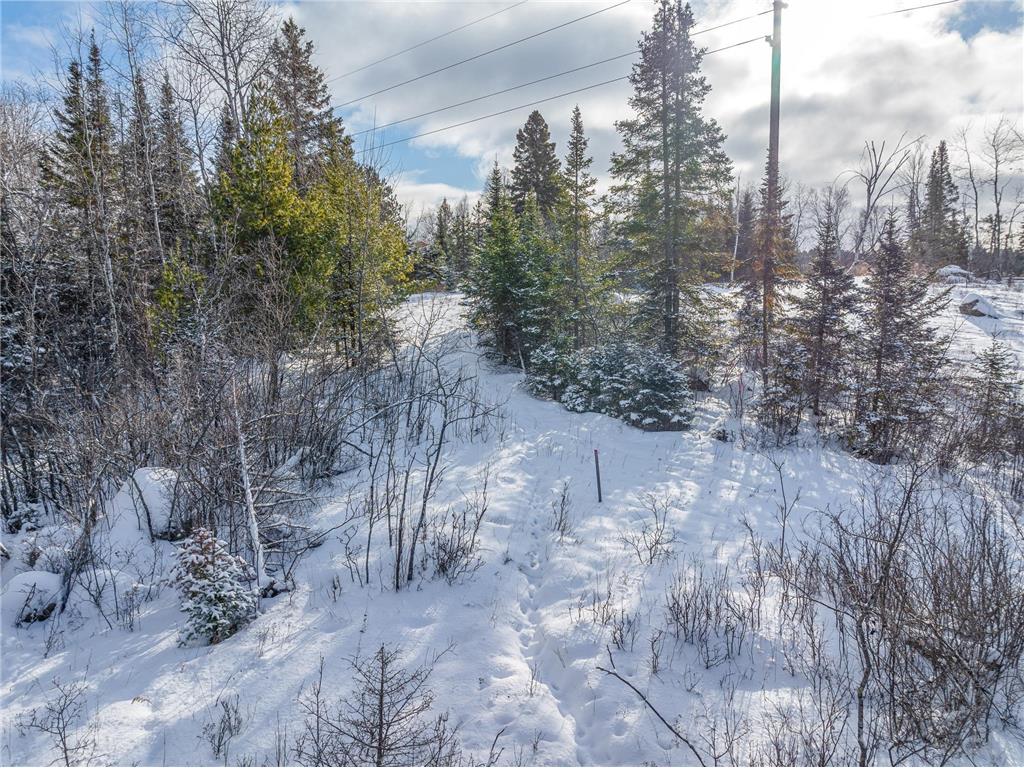 TBD Trezona Drive Ely MN 55731 7005472 image2