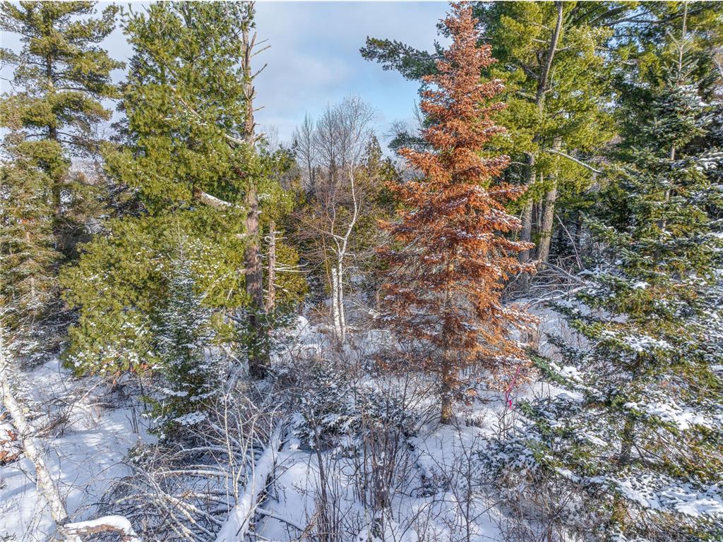 TBD Trezona Drive Ely MN 55731 7005472 image3