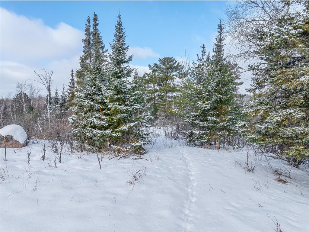 TBD Trezona Drive Ely MN 55731 7005472 image6