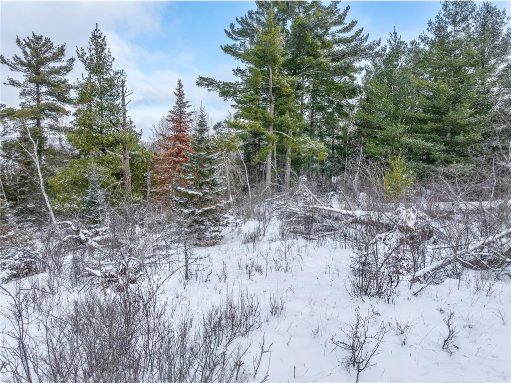 TBD Trezona Drive Ely MN 55731 7005472 image9