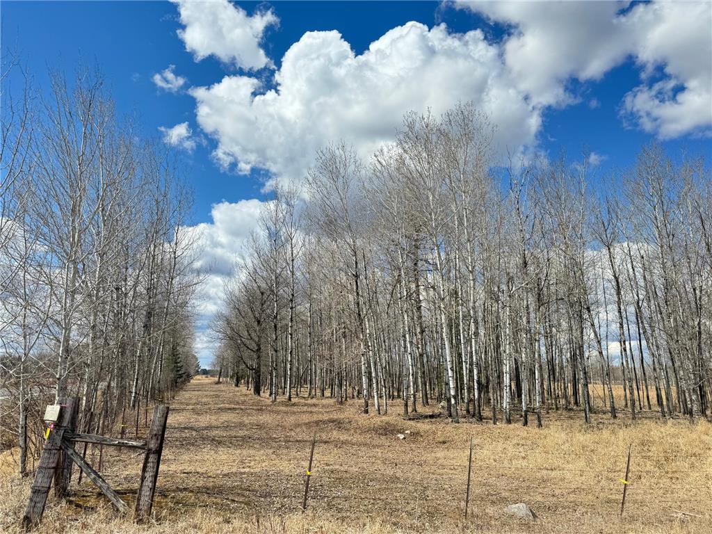 TBD Trigstad Rd White Twp MN 55705 6229513 image1