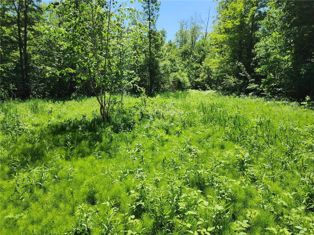 TBD Trillium Drive NW, Hackensack, MN, 56452 MLS 6493585 Edina Realty